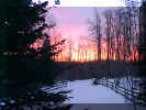 winter_sunrise2.jpg (51232 bytes)