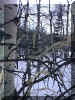 winter_wood1.jpg (69596 bytes)