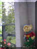 gnome1.jpg (57804 bytes)