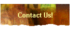 Contact Us!