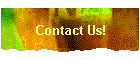 Contact Us!