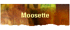Moosette