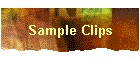Sample Clips